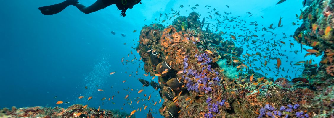 3 must-see diving spots you should visit with CharterClick