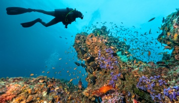 3 must-see diving spots you should visit with CharterClick