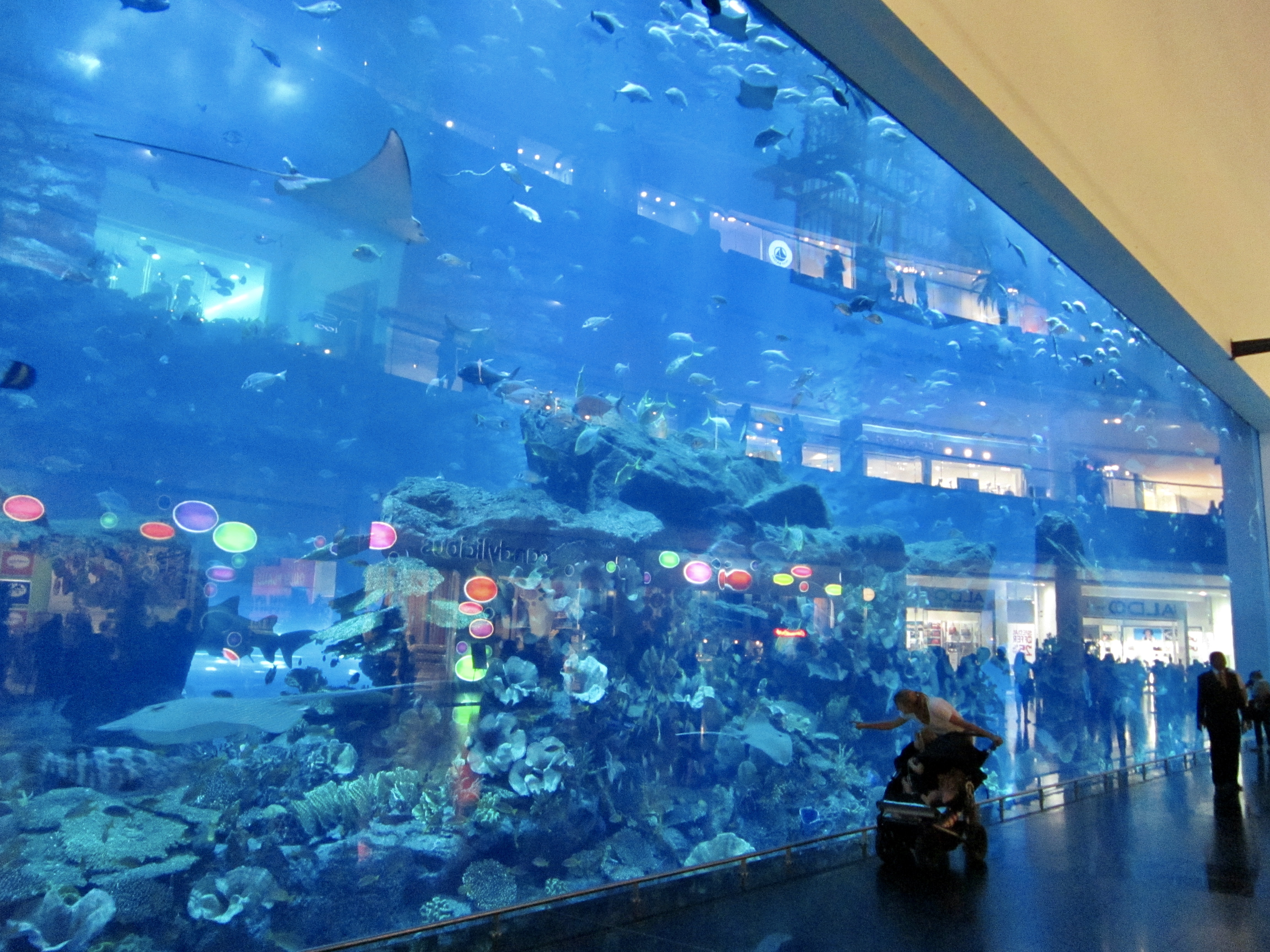 Dubai Mall and Aquarium
